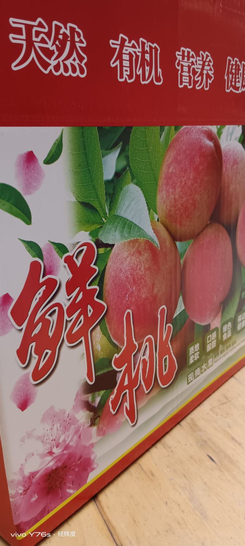 文县桃