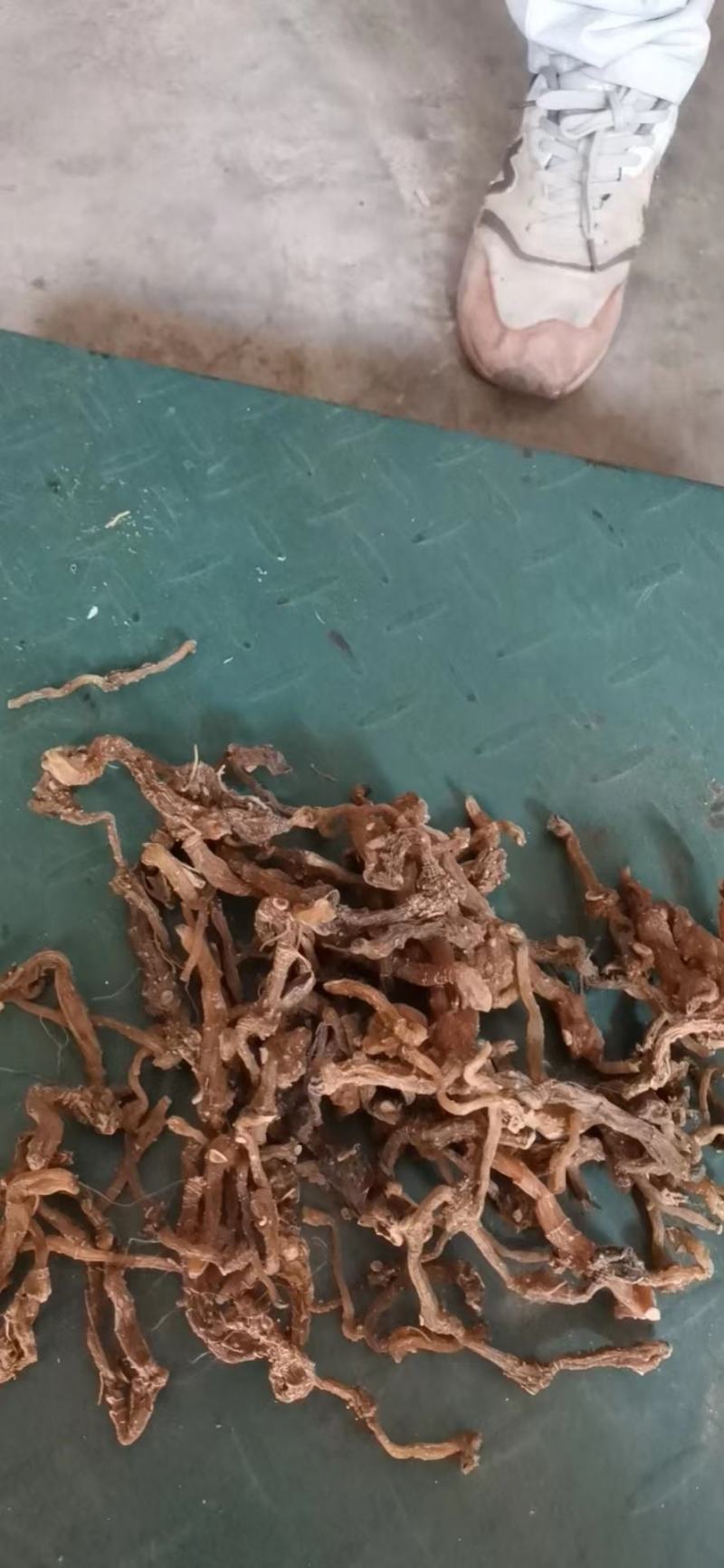 野生黄精