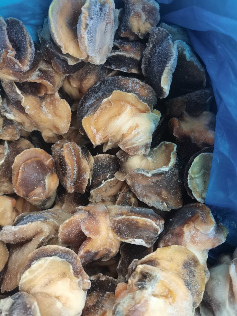 香螺肉冷冻新鲜猫眼螺，饭店，捞汁