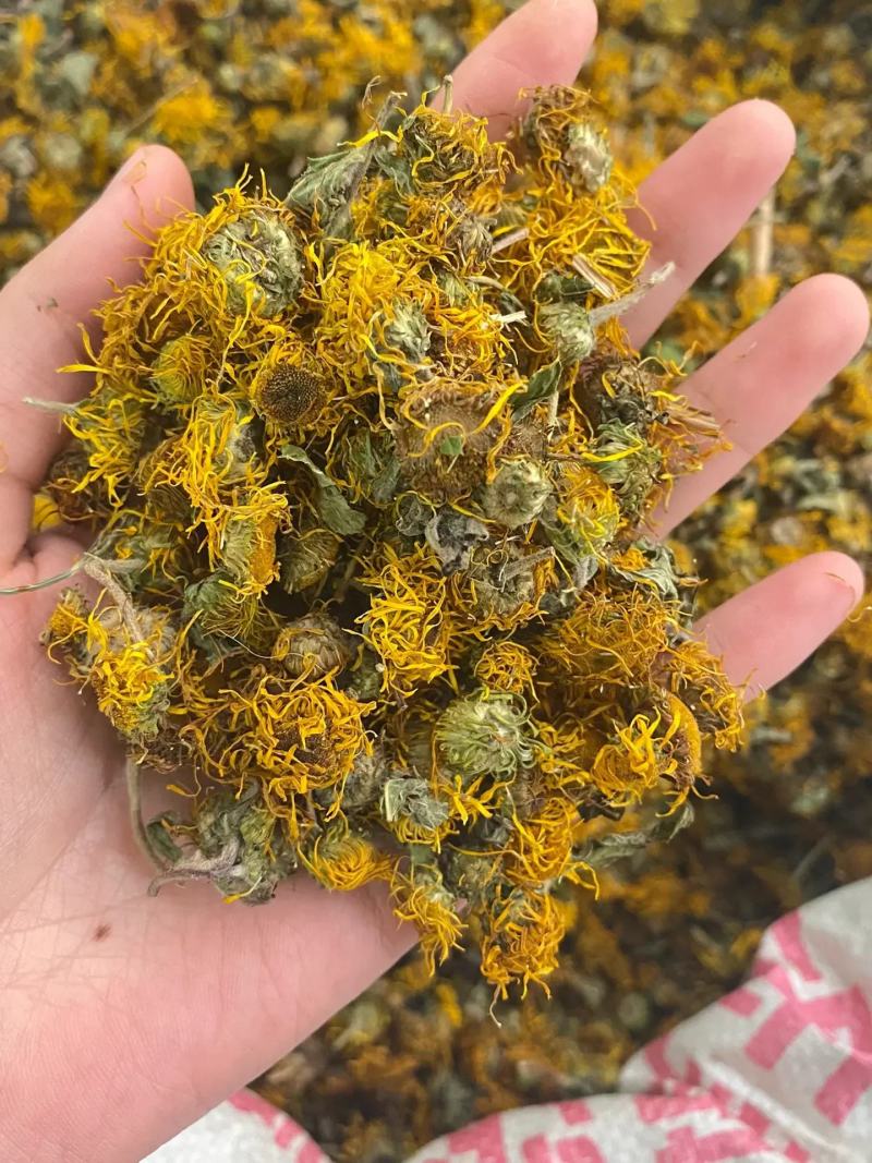 野生云南高品质旋复花旋覆花中药材批发金钱菊
