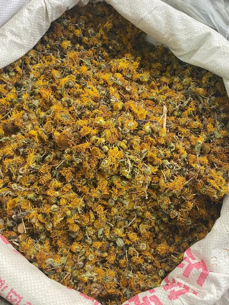 野生云南高品质旋复花旋覆花中药材批发金钱菊