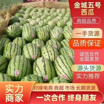 新疆哈密西瓜期待与各位客商老板合作共赢