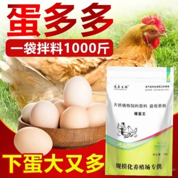 鸽子增蛋饲料，提高采食量，提高产蛋率，延长产蛋高峰
