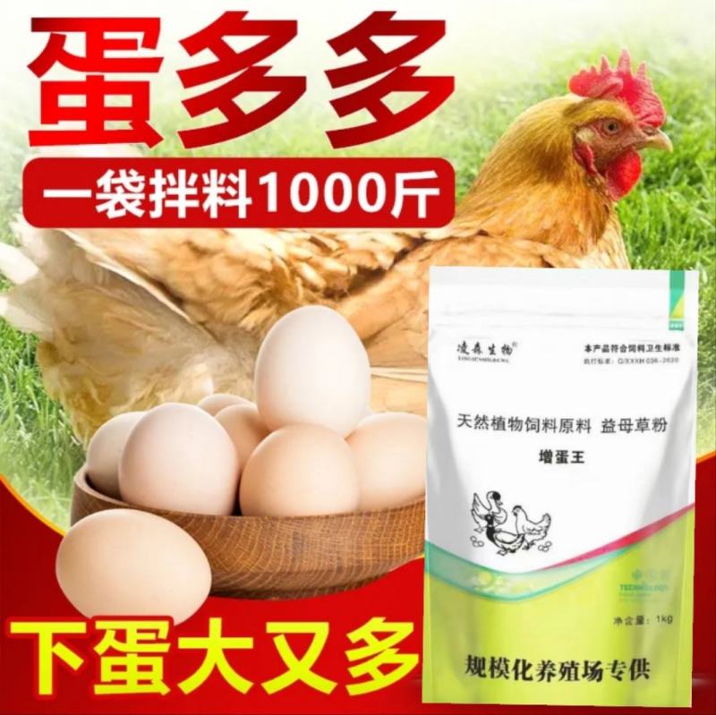 鸽子增蛋饲料，提高采食量，提高产蛋率，延长产蛋高峰