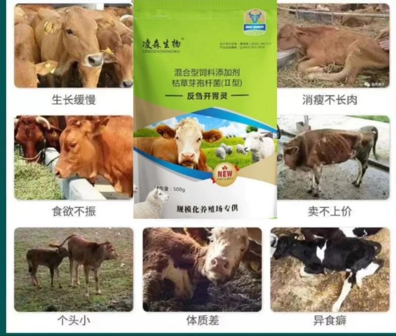 牛预混料饲料添加剂，牛羊吃什么长得快，牛羊场催肥产品