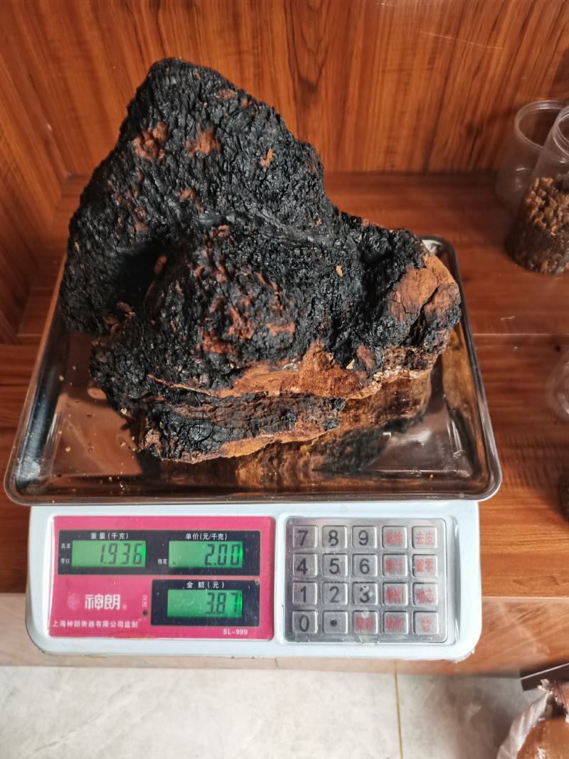 桦树茸，白桦茸，桦褐孔菌，品类齐全，诚信为本