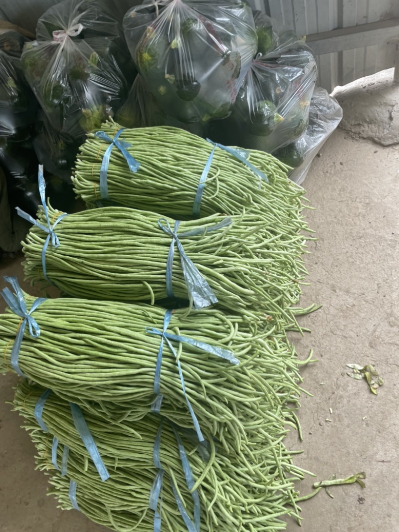 这里是万亩基地，需要收大量萝卜的，请联系