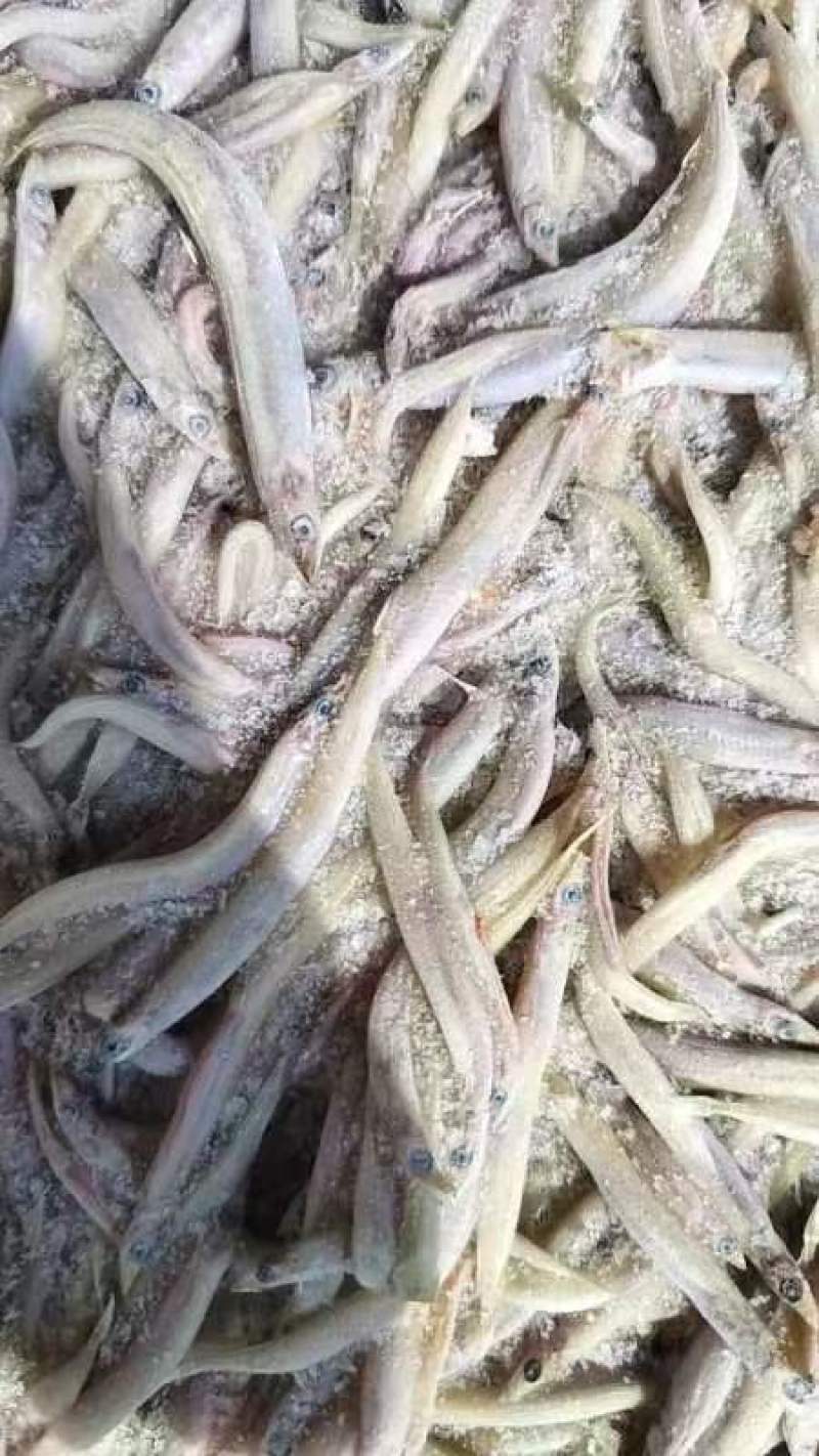 鱼