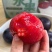 风味玫瑰李子