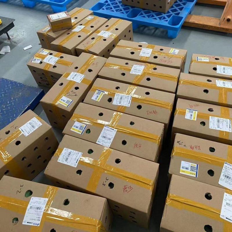 中蜂蜂群带子脾带原群王笼蜂活体强群蜂种授粉蜂