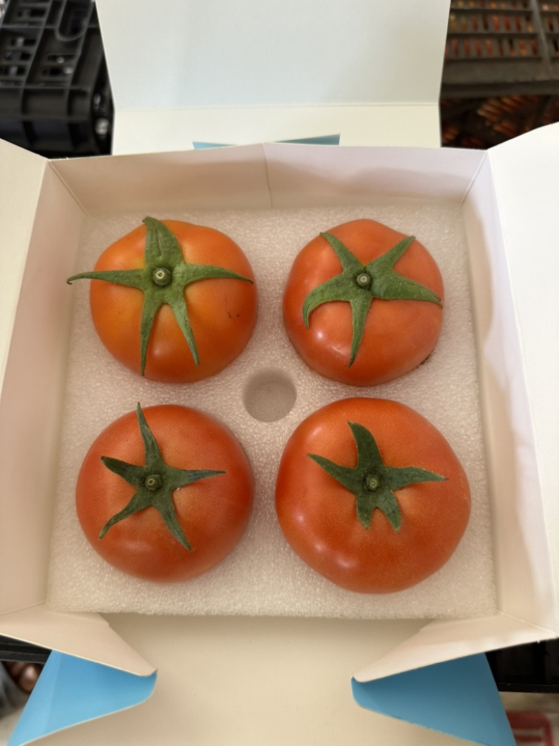 云南泸西石头番茄