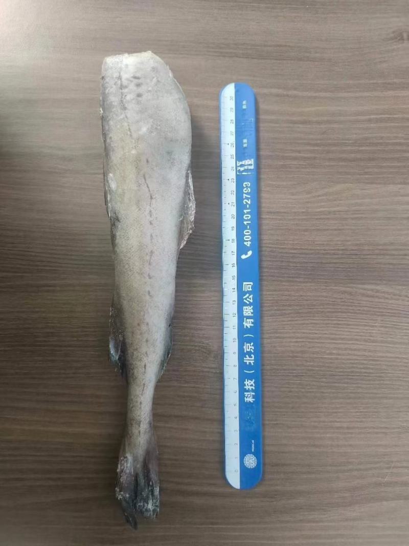 单冻狭鳕鱼（明太鱼）