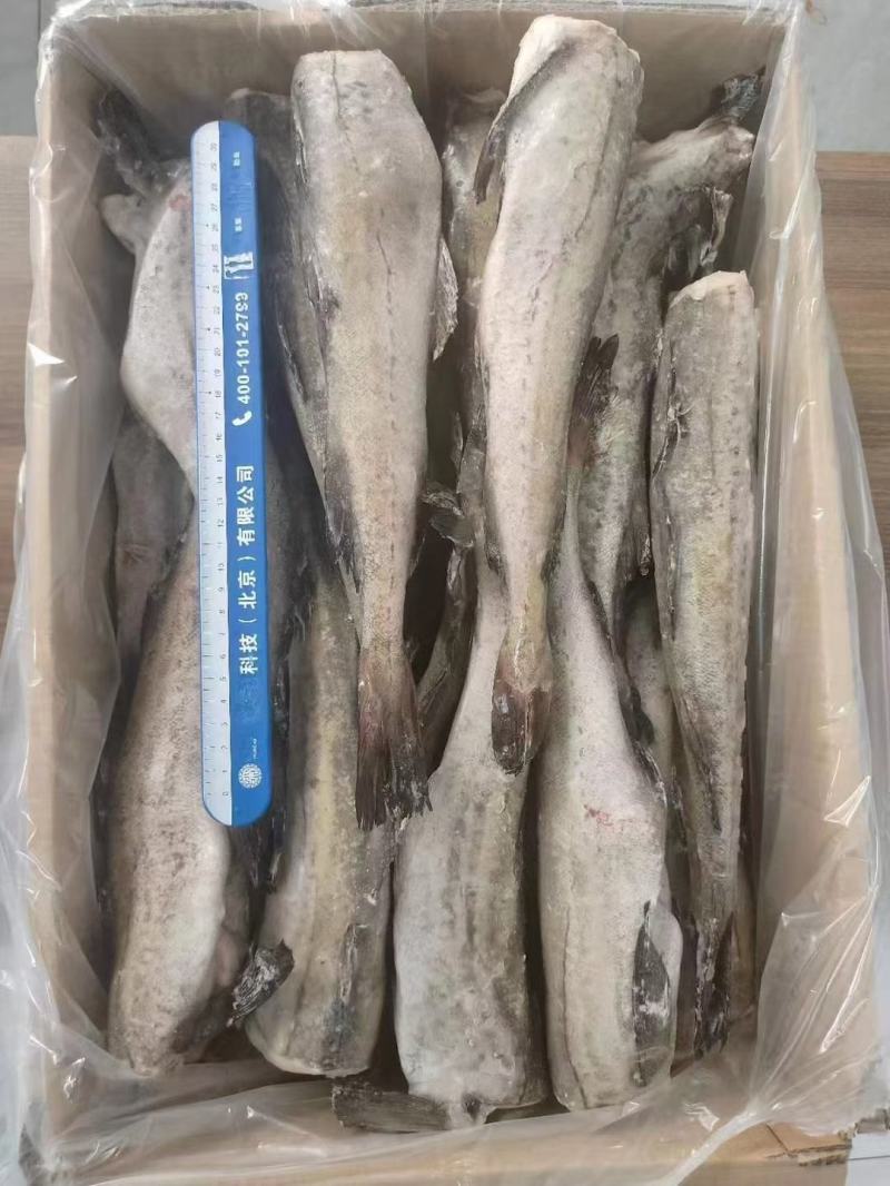 单冻狭鳕鱼（明太鱼）