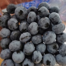 薄雾蓝莓鲜果
