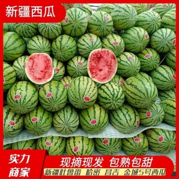 【推荐】金城5号西瓜西瓜代办包熟包甜供应市场商超电商
