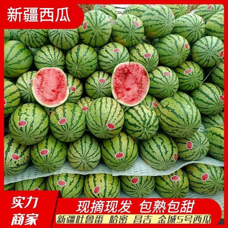 【推荐】金城5号西瓜西瓜代办包熟包甜供应市场商超电商