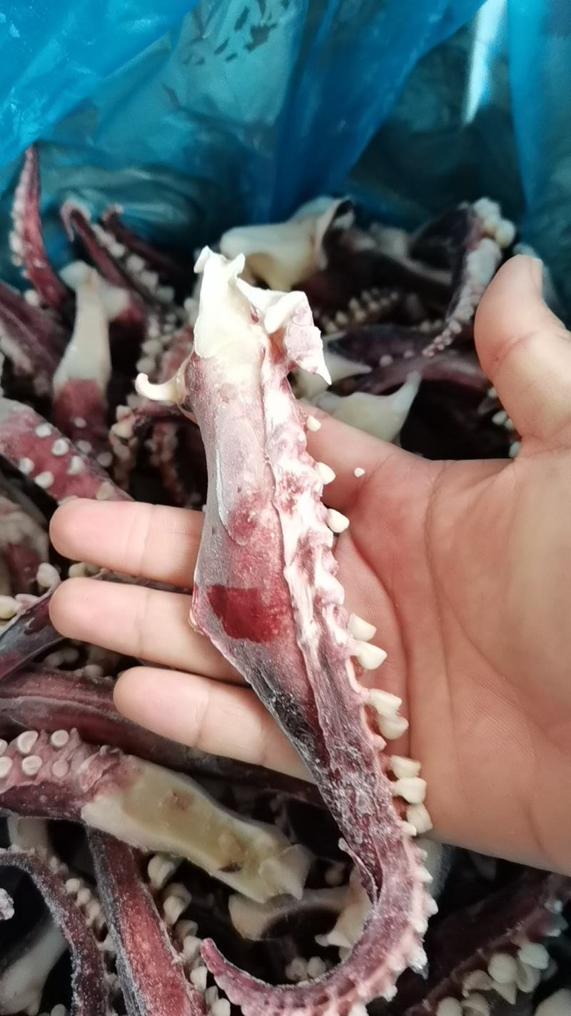 新鲜冷冻脆口章鱼须20斤商用食材八爪足大章鱼足