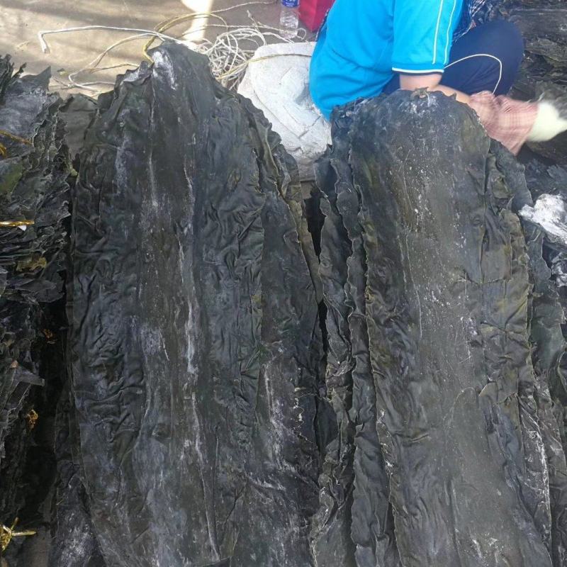 山东长岛淡干海带去边去尾出口一级，肉质厚，平整洁净