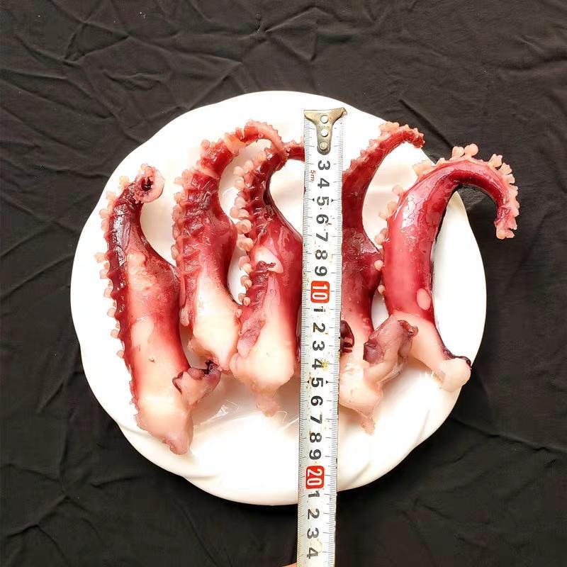 新鲜冷冻脆口章鱼须20斤商用食材八爪足大章鱼足