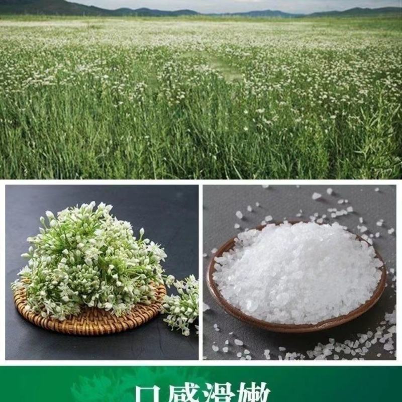 野生韭菜花酱新品上市质量保证量大从优货源稳定