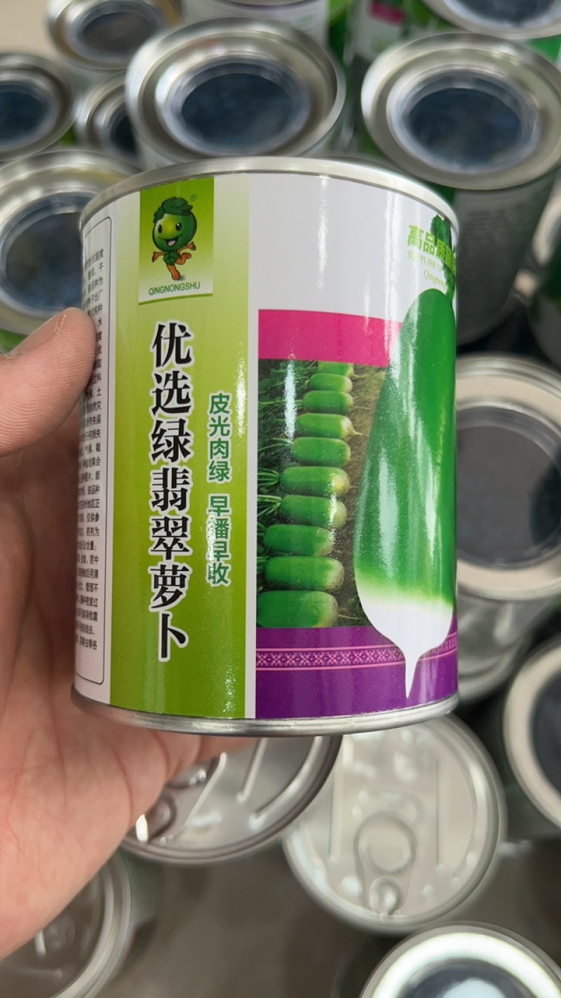 绿翡翠绿玉青萝卜种子皮色翠绿生长速度快品质好产量高