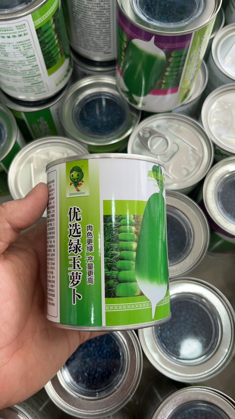 绿翡翠绿玉青萝卜种子皮色翠绿生长速度快品质好产量高
