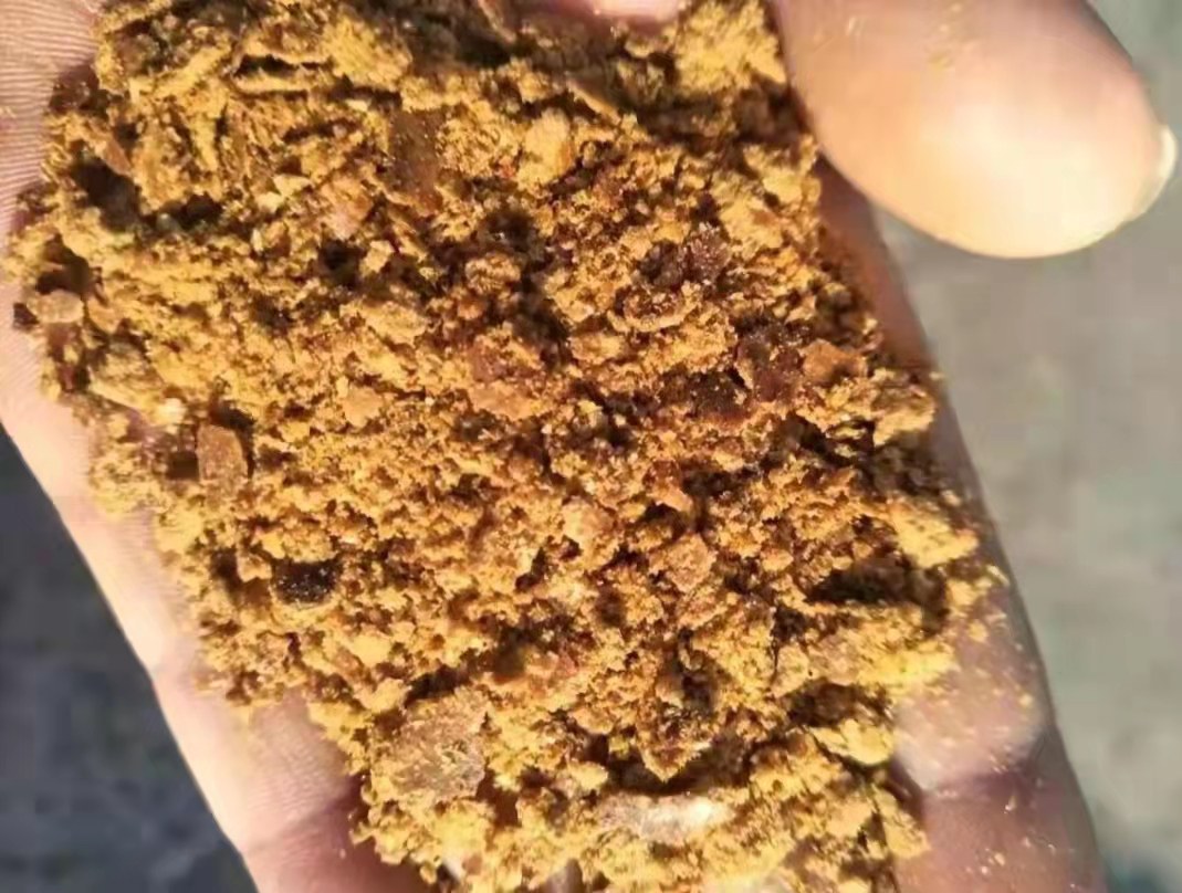 高清微距摄影:左侧为浅金黄色果酸玉米粒,表面湿润有光泽,无气孔;右侧为琥珀色老坛玉米粒,表面微皱,可见细微发酵气孔与乳白色菌膜残留;背景为pH试纸(果酸组pH3.4,老坛组pH4.1)及乳酸菌平板培养图(标注植物乳杆菌LP-8菌落形态) 果酸玉米与老坛玉米样品对比特写