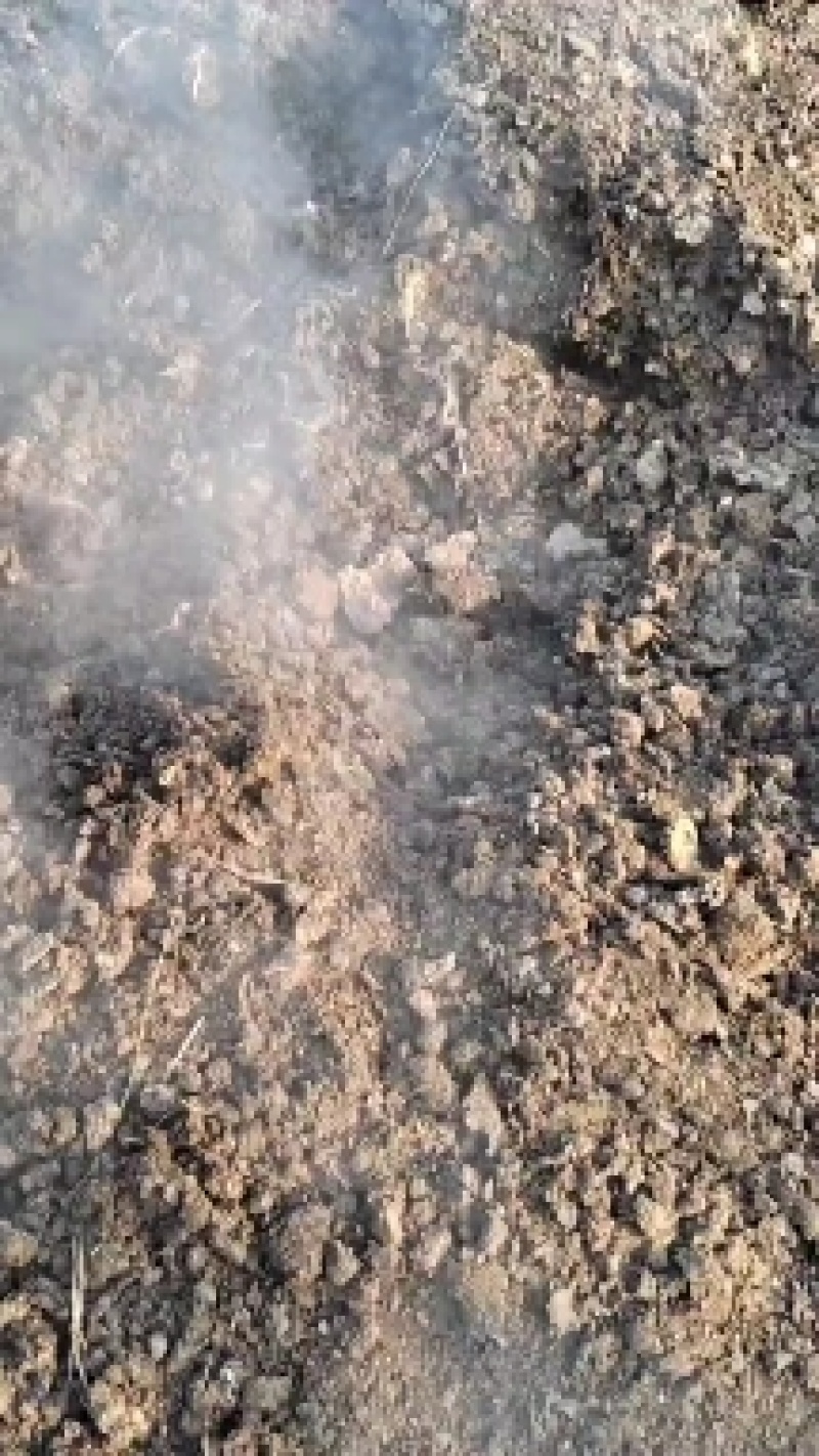粪便发酵剂农家肥快速腐熟动物粪便树叶酒糟秸秆快全国包邮