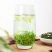 茉莉花茶浓香型250克木桶礼盒装包邮哦