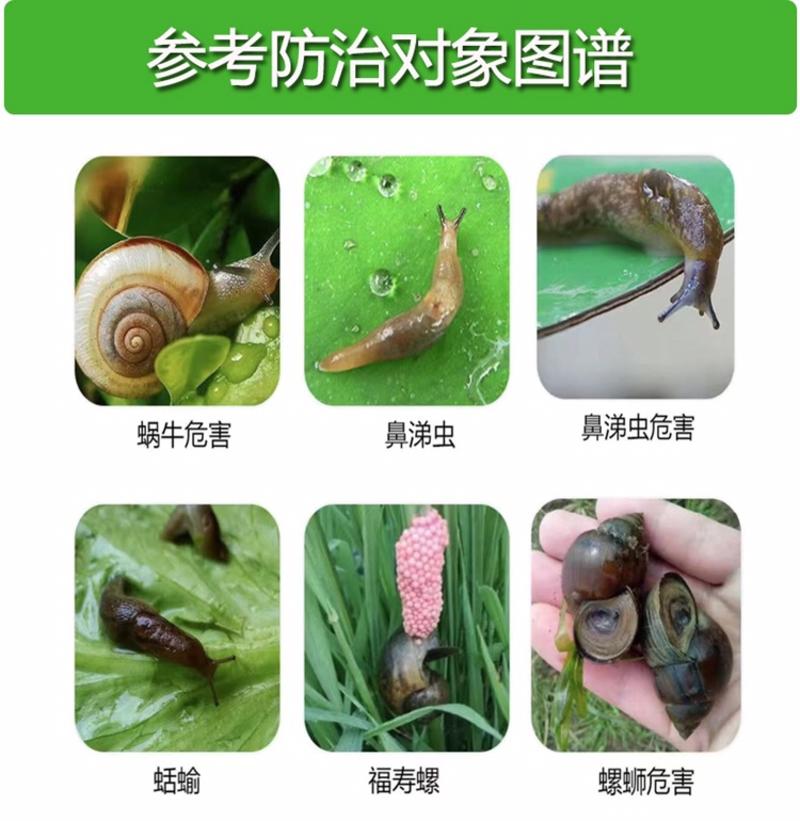 东泰80%四聚乙醛蜗牛专用农药杀虫剂80%四聚乙醛可喷雾