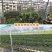果树防鸟网罩无花果樱桃网防鸟用的网果园尼龙纱网防护罩葡萄