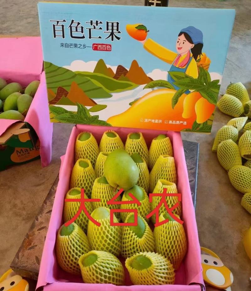 【精选】广西百色台芒农芒果大量上市欢迎采购合作洽谈