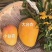 【精选】广西百色台芒农芒果大量上市欢迎采购合作洽谈