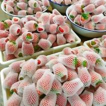 云南夏季草莓草莓基地直发