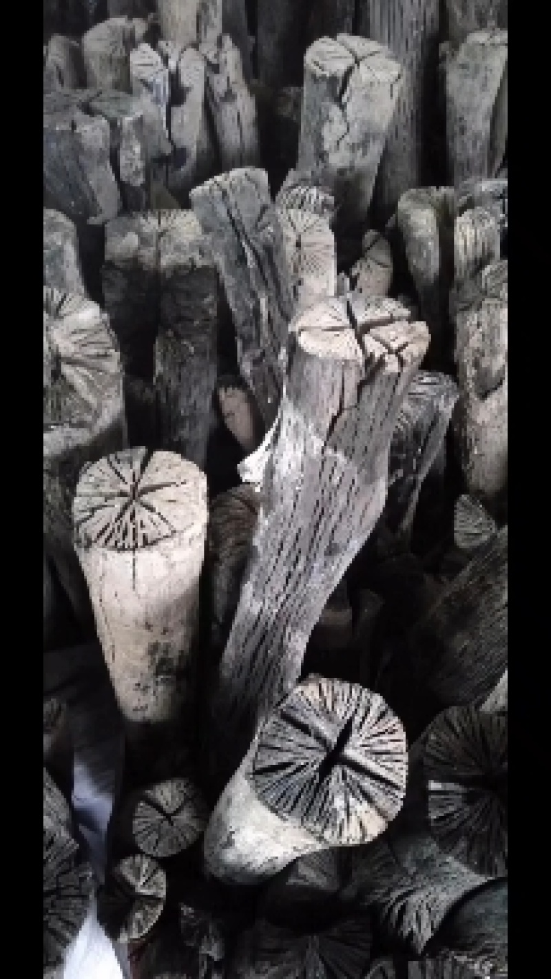 栗木炭各种木炭自家生产量大从优欢迎老板联系
