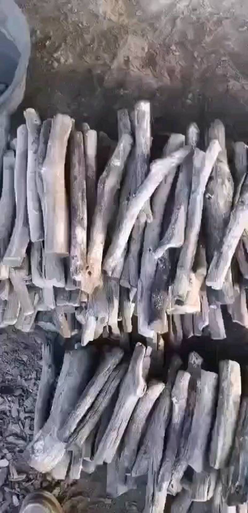 青冈木备长炭