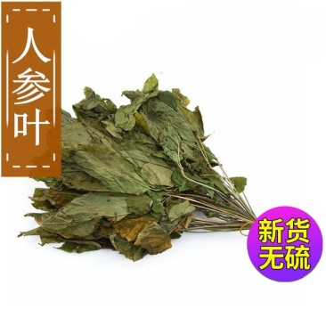 批发现货人参叶长白山特产人参叶子一件代发大货供应