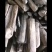 青冈木割钢白炭