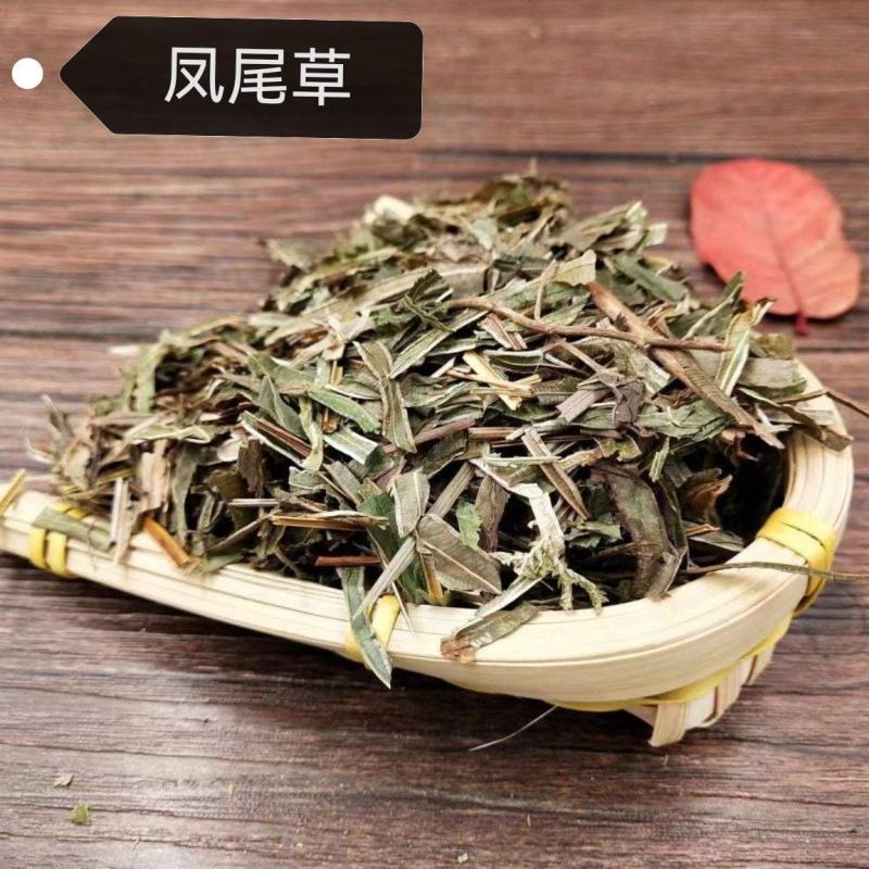 中药材批发零售凤尾草金鸡草鸡脚草诚信经营货真