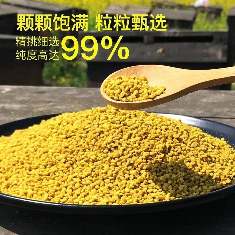 老店信誉产品油菜花粉活性蜂花粉新货无硫规格齐全