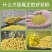 老店信誉产品油菜花粉活性蜂花粉新货无硫规格齐全
