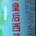 璐通种业西芹种子进口芹菜种子中早熟纤维少耐低温生长速快
