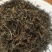 武夷山红茶金骏眉，正山小种I35O954B7O5
