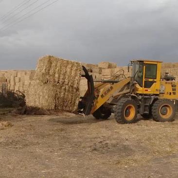 新疆伊犁大麦麦草麦草秸秆对接全国常年稳定供货