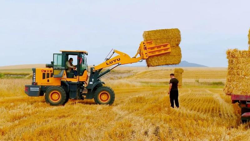新疆伊犁大麦麦草麦草秸秆对接全国常年稳定供货