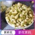 批发现货茉莉花茶新鲜头茬无硫磺无杂质一件代发