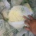 优质【花菜松花菜】产地直销一手货源品质保证欢迎来电咨询
