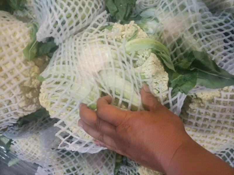 优质【花菜松花菜】产地直销一手货源品质保证欢迎来电咨询