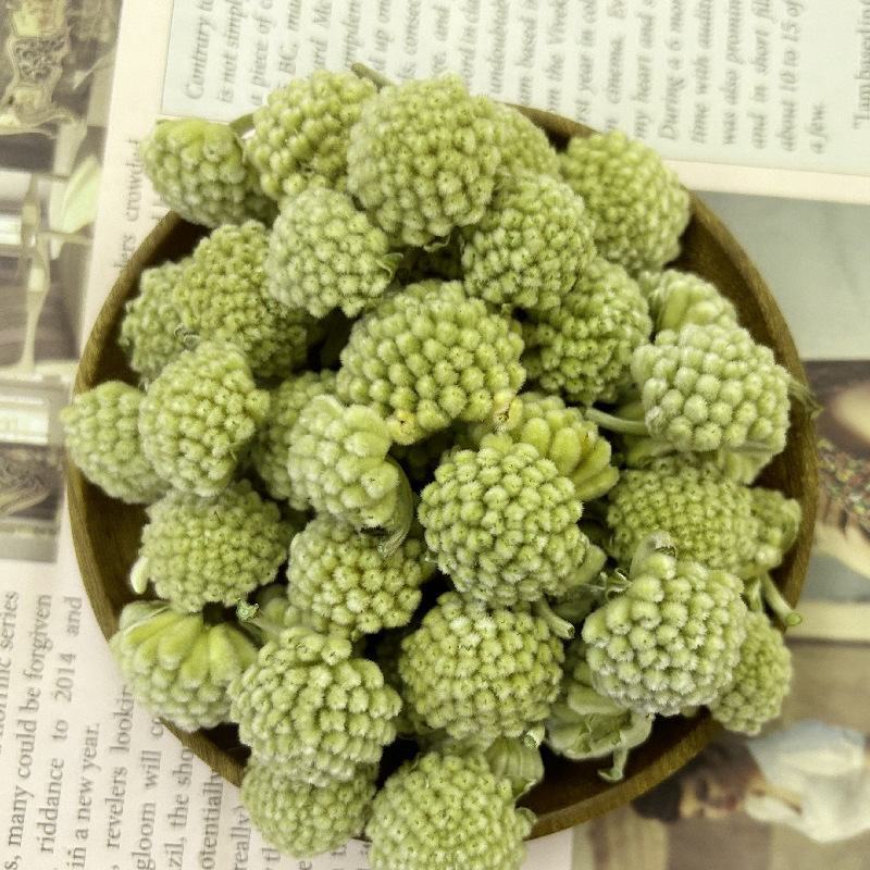 批发现货绿萝花西藏野生绿萝新货无硫黄雪里花