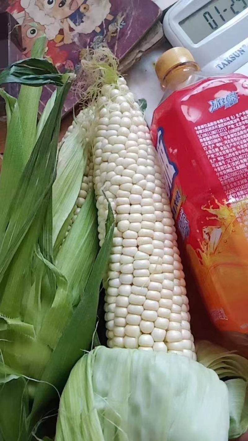 玉米，甜玉米，糯玉米